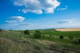 alexanderpokrovskiy