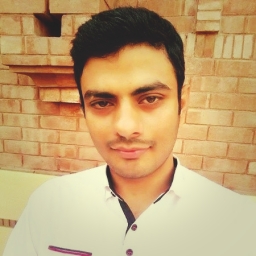 alihussain49