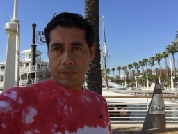 davecalvomex
