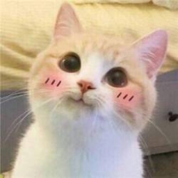 marimisty