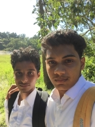 shibili