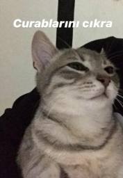 wannalearnsthg
