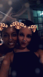 barbi_12684