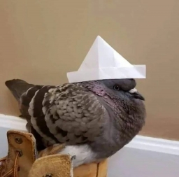 evaflo