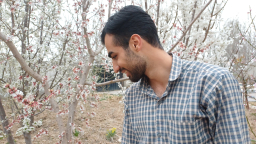 hesamjmohammadi