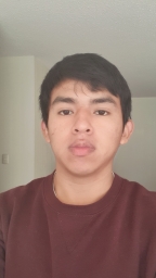 mikkel26