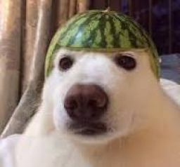 toiteski