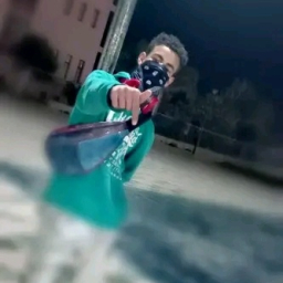 vdlsgephs